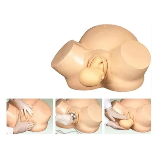 Dummy Doll For Nursing College