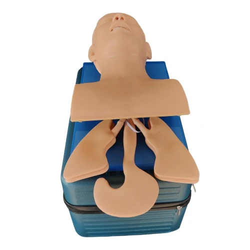Electronic Treachea Intubation Manikin