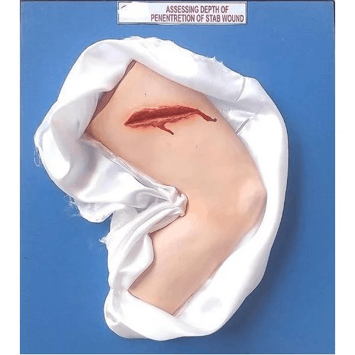 Forensic Science Models