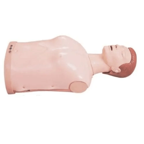 Half Body CPR/little Anne For Nursing Colleges