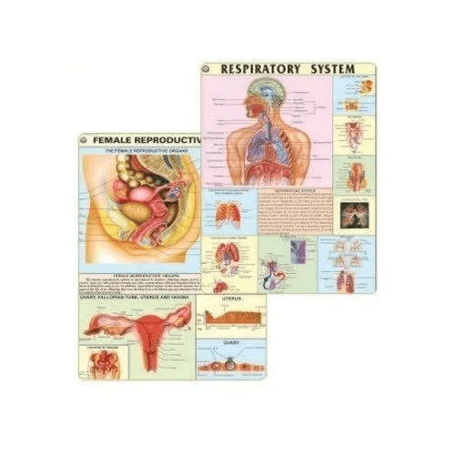 Midwifery & Child Health Nursing Charts