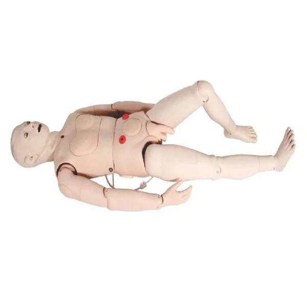 Pharmacological Nursing Training Manikin