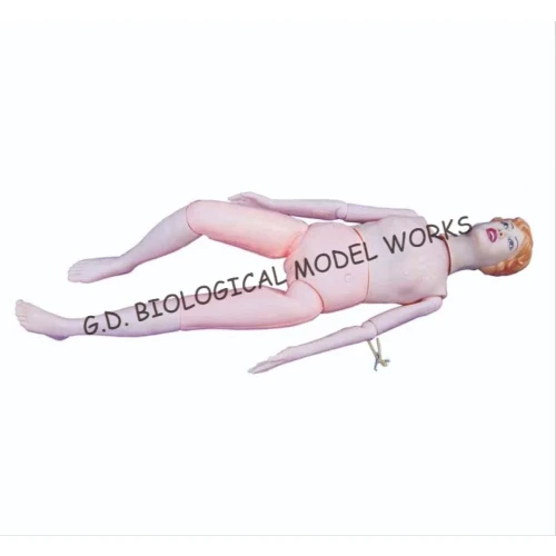 PVC Multi Functional Nursing Manikin