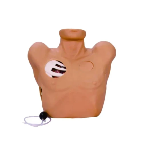 Thoracentesis Drainage Simulator