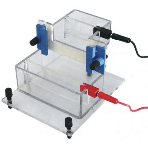 Vertical Electrophoresis System