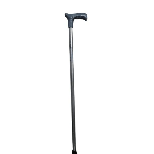 Walking Stick