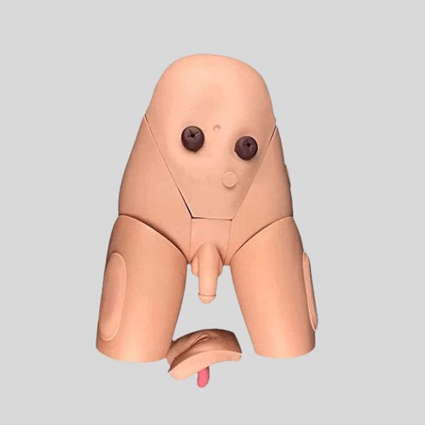 Catherization Manikin Simulator