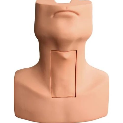 Trachostomy Intubation Simulator
